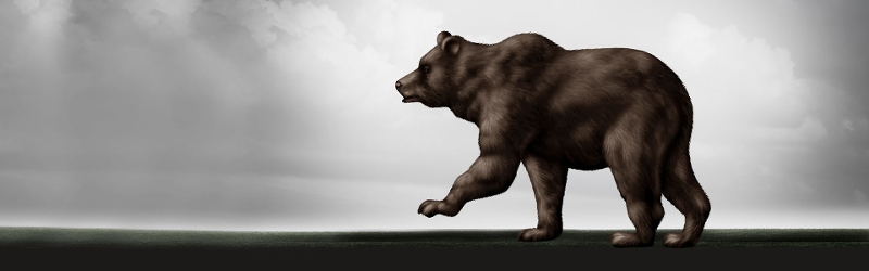 Exit Goldilocks, enter the bear image of a bear