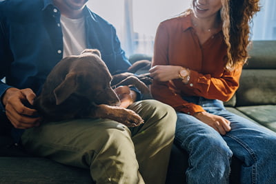 Financial planning, couple sitting on a couch playing with a dog