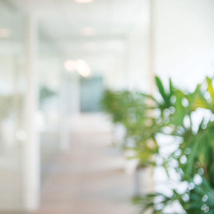 Environment image of plant in an office hallway