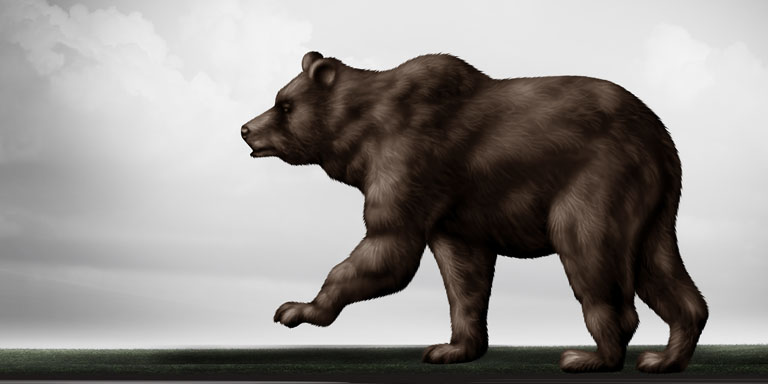 Exit Goldilocks, enter the bear image of a bear