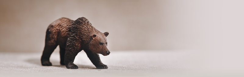 Image of a brown figurine bear positioned on the left of the banner looking towards the right